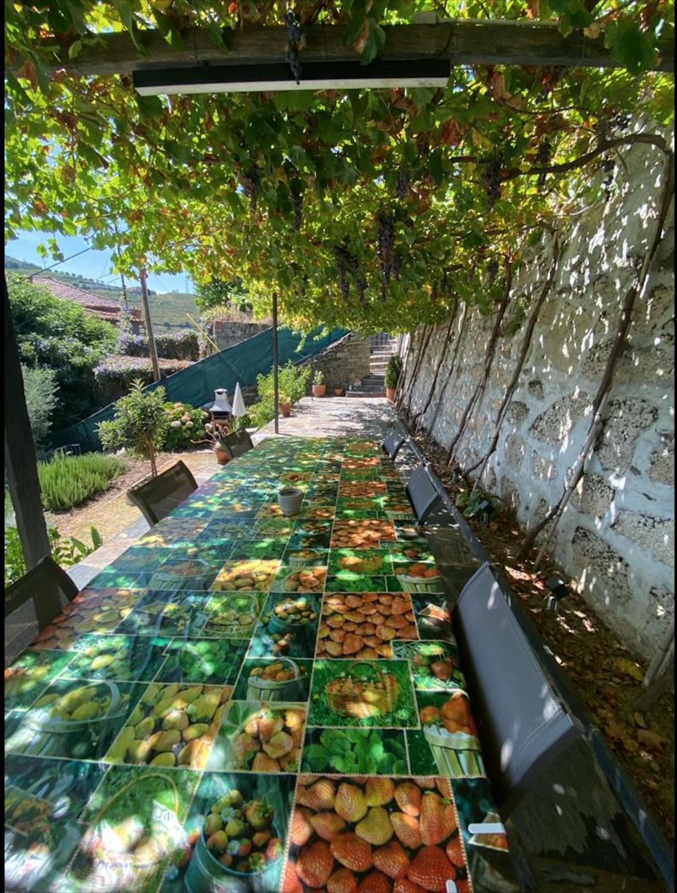 Casa Foz Do Corgo - Private Pool, Gardens And River Access