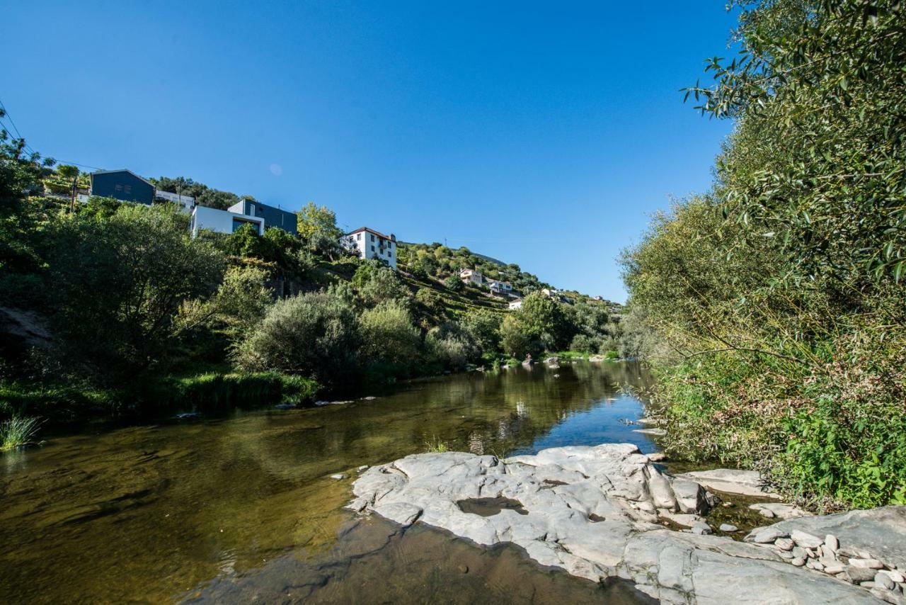 Casa Foz Do Corgo - Private Pool, Gardens And River Access Villa