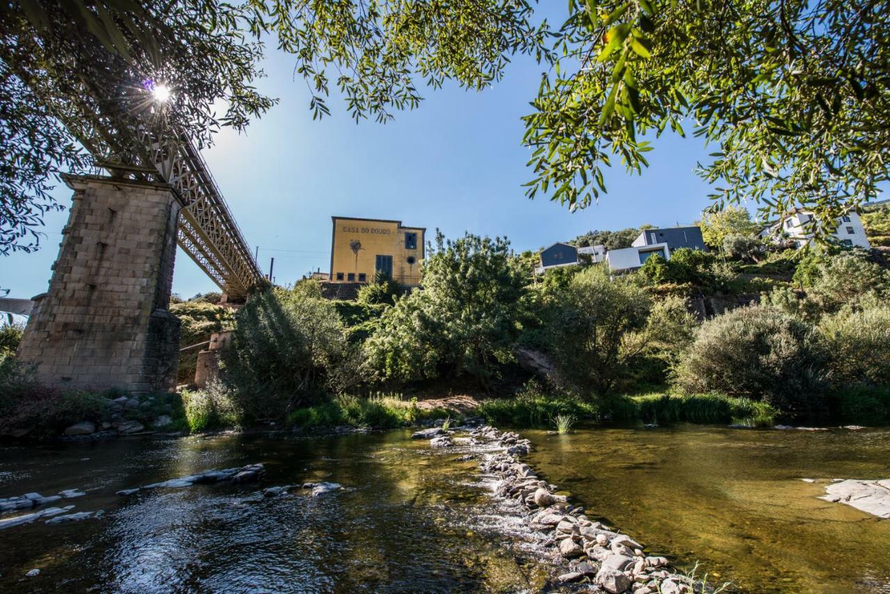 Casa Foz Do Corgo - Private Pool, Gardens And River Access
